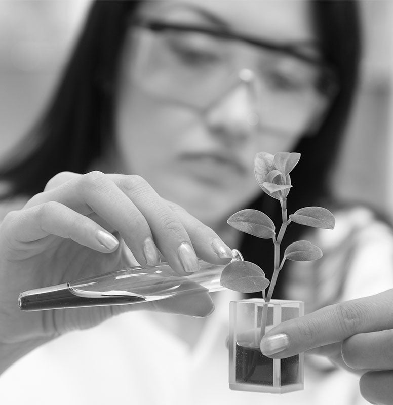 Scientist feeding flower