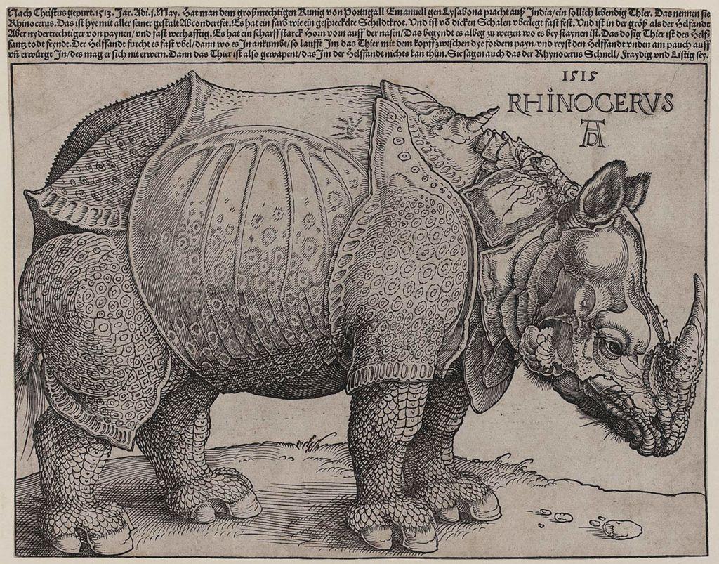 Woodcut illustration of a rhinoceros created by Albrecht Dürer in 1515. The image depicts a highly detailed and stylized rhinoceros with an armor-like body covering, textured patterns, and intricate lines. The text above the rhinoceros reads 'Rhinocerus' along with the year '1515.' This artwork is famous for its imaginative rendering, as Dürer had never seen a rhinoceros in person and based his depiction on written descriptions and sketches.